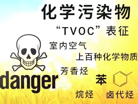 苯系物和TVOC